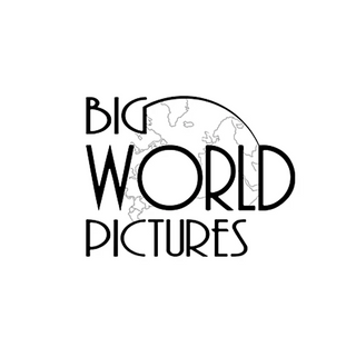 Big World Pictures