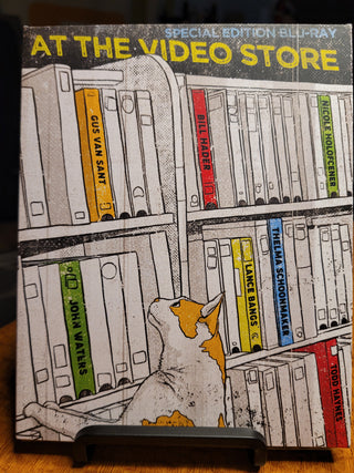 At the Video Store