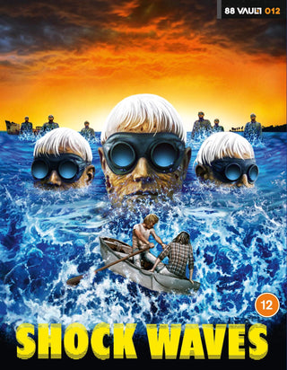 Shock Waves