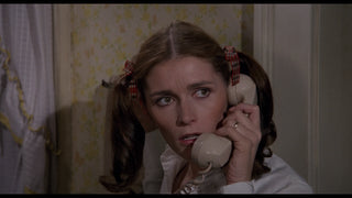 The Amityville Horror