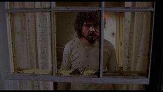 The Amityville Horror
