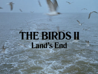 The Birds II: Land's End