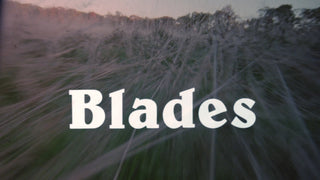 Blades
