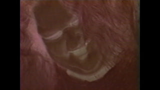 Criminally Insane 2