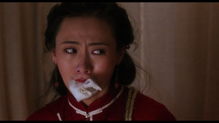 A Chinese Torture Chamber Story 1 & 2