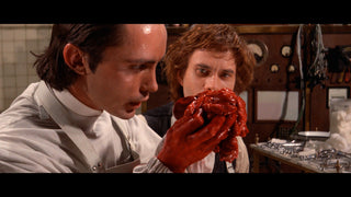 Flesh For Frankenstein
