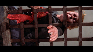 Flesh For Frankenstein