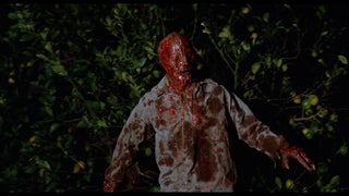 The Incredible Melting Man