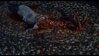 The Incredible Melting Man