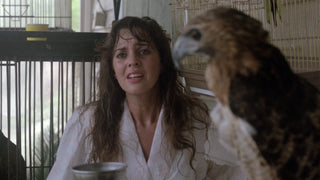 Zombie 5: Killing Birds
