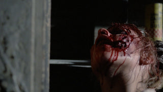 Zombie 5: Killing Birds