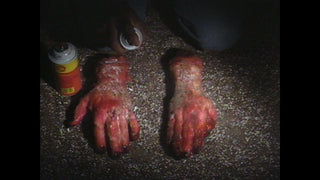 Redneck Zombies