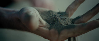 Something in the Dirt