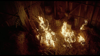 Mexican Gothic: The Films of Carlos Enrique Taboada