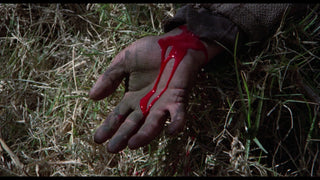 Mexican Gothic: The Films of Carlos Enrique Taboada