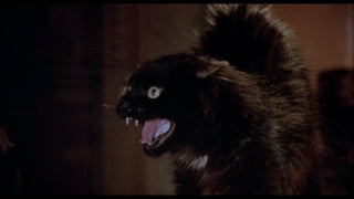 Mexican Gothic: The Films of Carlos Enrique Taboada