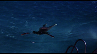 Spanish Blood Bath: Night of the Skull / Violent Blood Bath / The Fish with the Eyes of Gold