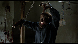 The Werewolf Versus The Vampire Woman