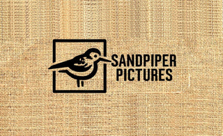 Sandpiper Pictures