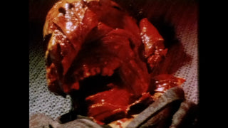5 Dead on the Crimson Canvas