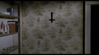 The Amityville Horror