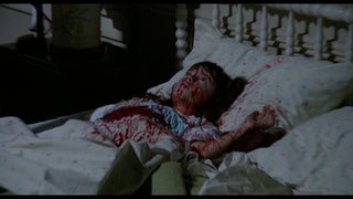 The Amityville Horror