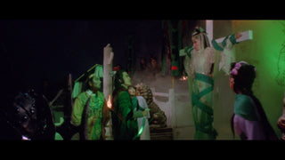 Descendant of the Sun