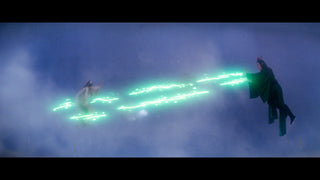 Descendant of the Sun