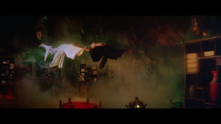 Descendant of the Sun