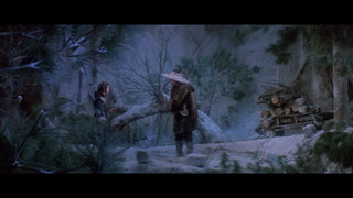 Descendant of the Sun