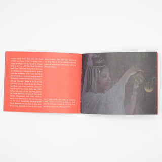 Descendant of the Sun