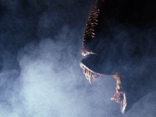 Nightbeast