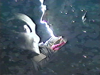 Suroh: Alien Hitchhiker