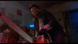 The Texas Chainsaw Massacre 2