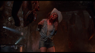 The Texas Chainsaw Massacre 2