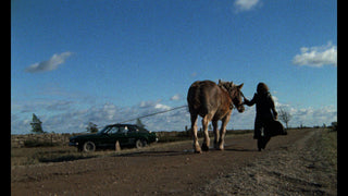 Thriller - A Cruel Picture