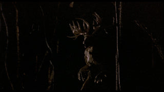 The Films of Larry Fessenden: Volume 2 - Wendigo & The Last Winter