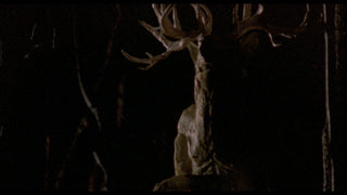 The Films of Larry Fessenden: Volume 2 - Wendigo & The Last Winter