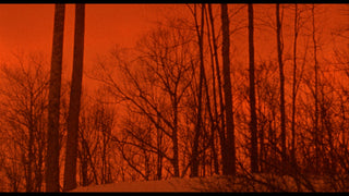 The Films of Larry Fessenden: Volume 2 - Wendigo & The Last Winter