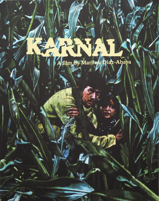 Karnal [Blu-ray w/ Limited Edition Slipcover]